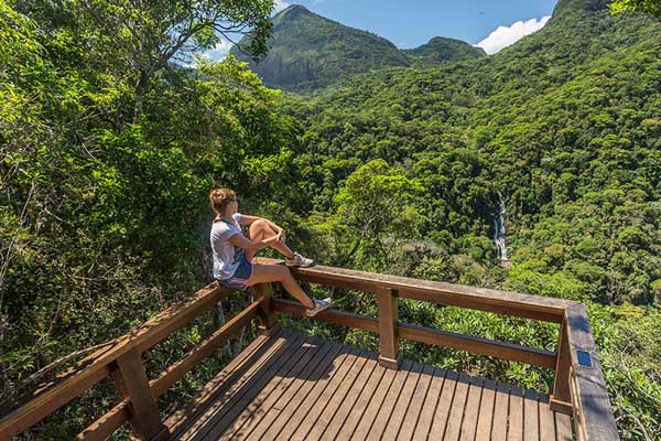 Tijuca National Park Hiking Tour, Rio de Janeiro